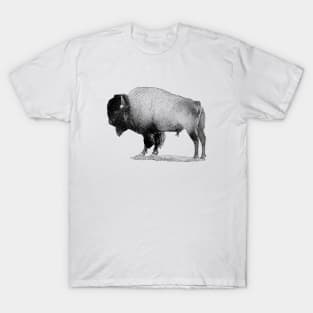 Bison T-Shirt